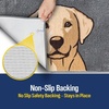 image:imageMuddy Mat Highly Water Absorbent Microfiber Door Mat and Pet Carpet SlipResistant Thick Washable Soft Chenille Mat for Kitchen Bedroom Indoor and Outdoor  Dog Face Rottweiler 19X30Labrador