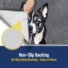 image:imageMuddy Mat Highly Water Absorbent Microfiber Door Mat and Pet Carpet SlipResistant Thick Washable Soft Chenille Mat for Kitchen Bedroom Indoor and Outdoor  Dog Face Rottweiler 19X30Border Collie