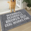 Warning: Doorbell Broken But Dog Work Fine